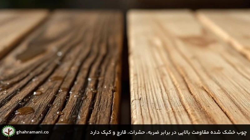 چوب خشک شده مقاومت بالایی در برابر ضربه، حشرات، قارچ و کپک دارد
