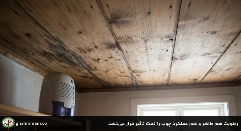 رطوبت هم ظاهر و هم عملکرد چوب را تحت تاثیر قرار می&zwnj;دهد